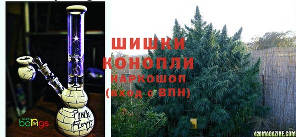 молекула духа Беломорск