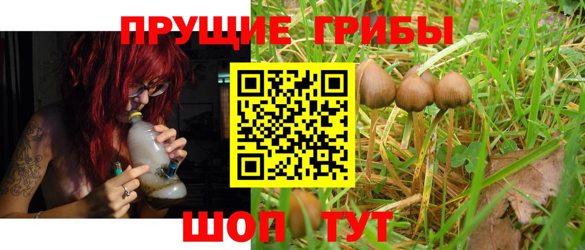 Галлюциногенные грибы ЛСД Валуйки