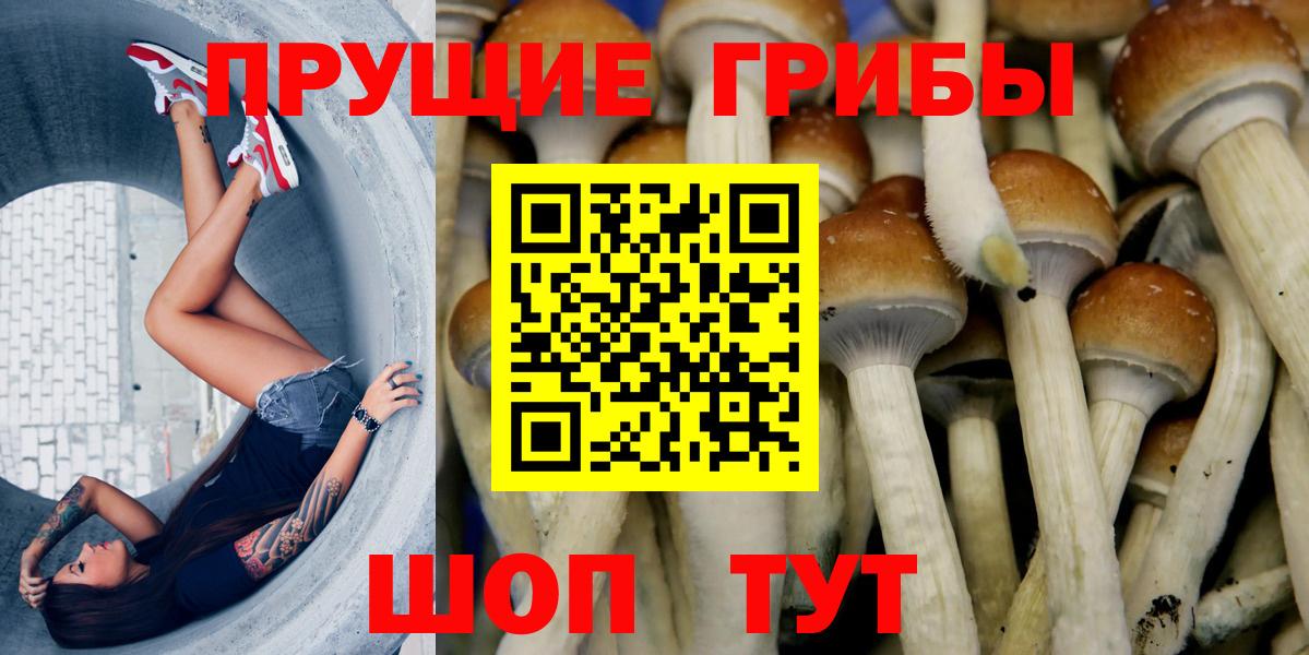 Псилоцибиновые грибы Magic Shrooms  Вход с VPN  Валуйки 