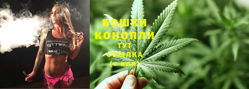 Каннабис SATIVA & INDICA  где купить наркоту  Валуйки 